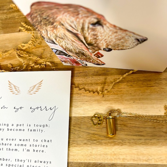 Memorial Pet Portrait and Urn Gift Set - Picture 9 of 9